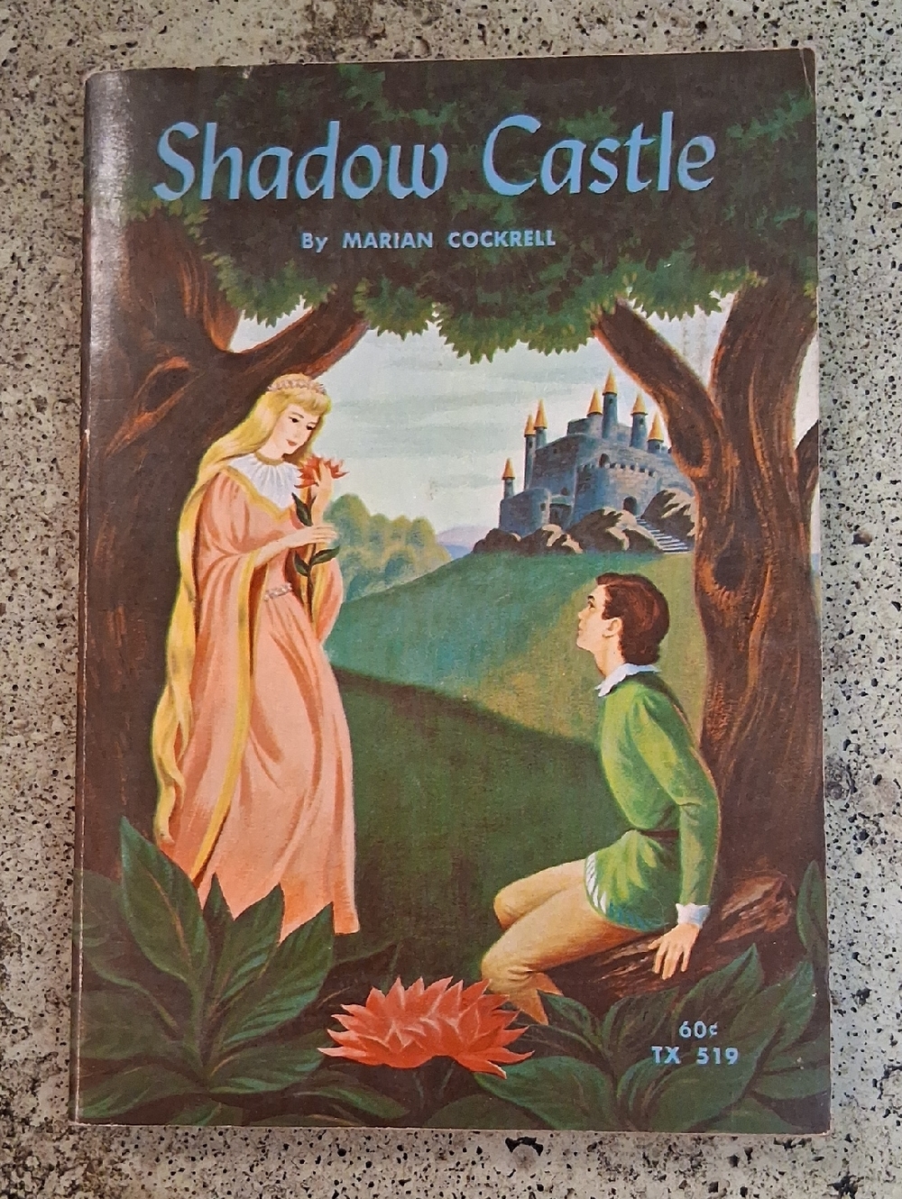 Shadow Castle Vintage Children's Chapter Book By Marian Cockrell